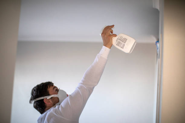 Mold Removal and Inspection in Sorgho, KY