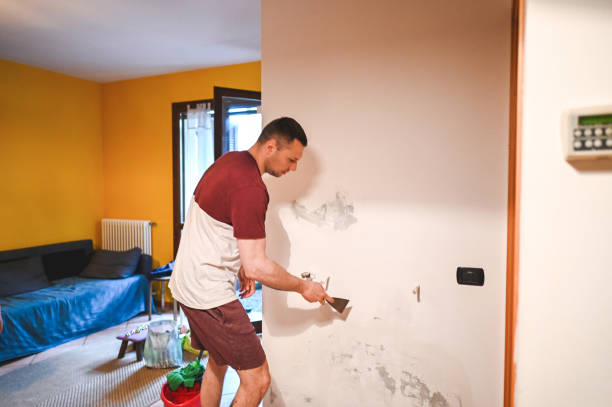 Office Mold Removal Services in Sorgho, KY